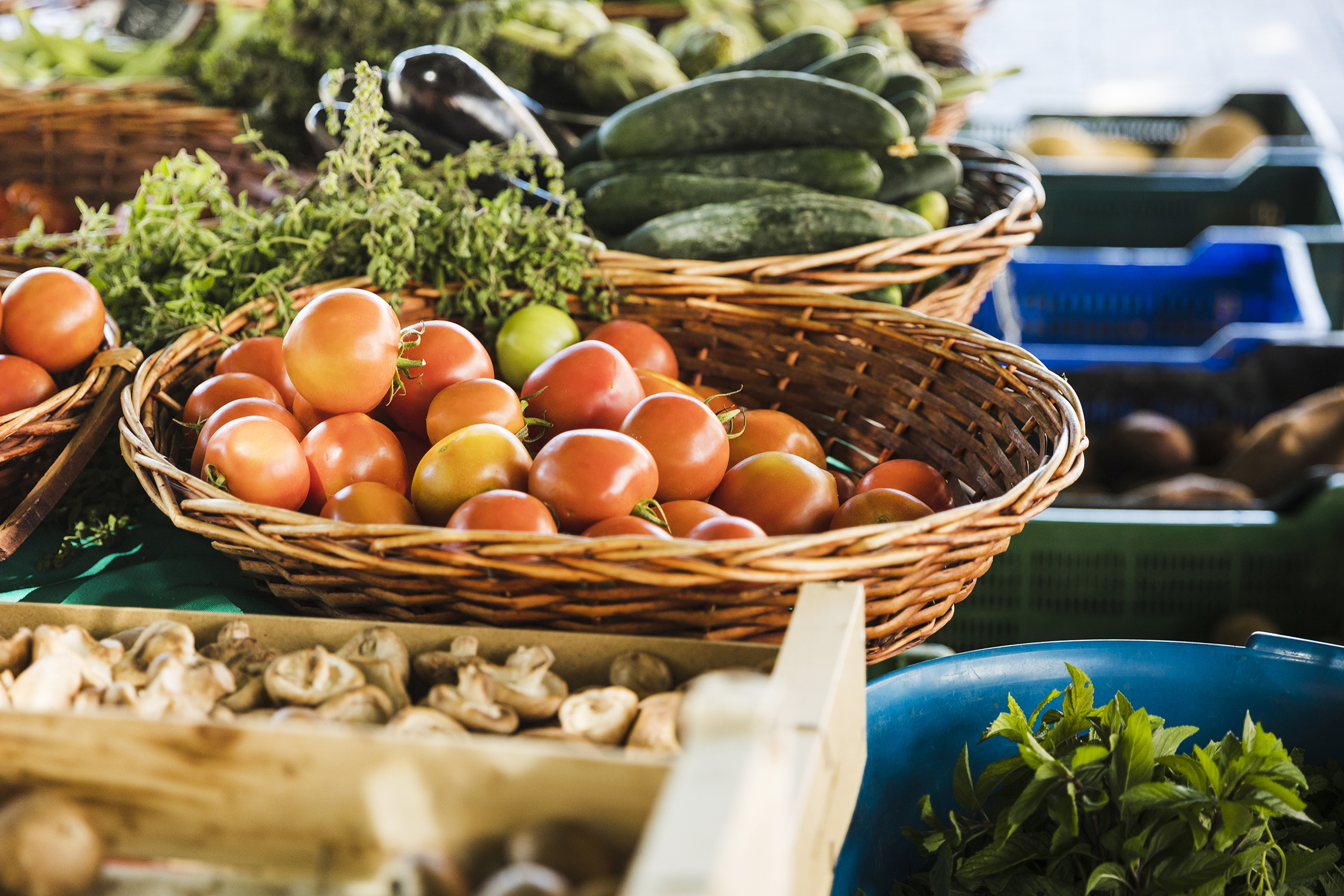 Local Farmer's Markets